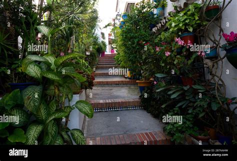 «City of flowers, per eccellenza» .